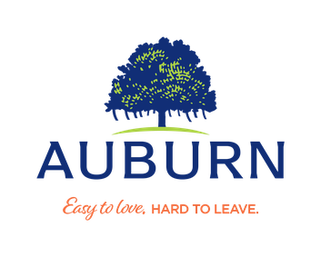 Auburn X-ray film disposal