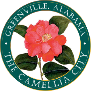 Greenville X-ray film disposal