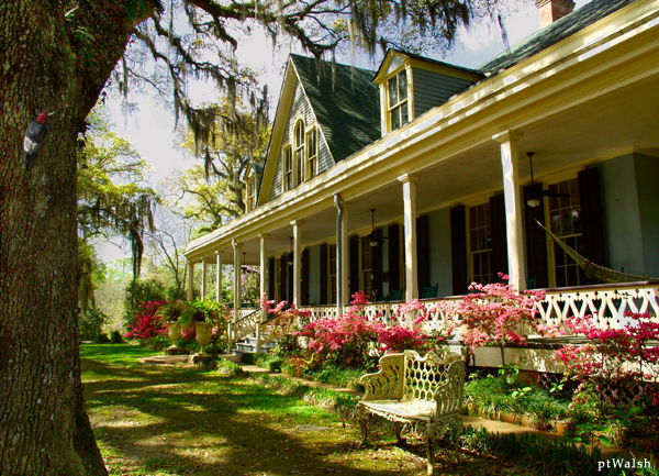 St. Francisville X-ray film disposal